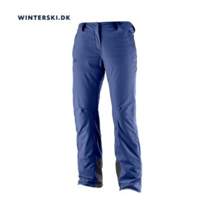 Salomon Icemania W skibuks