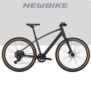Trek Dual Sport 2