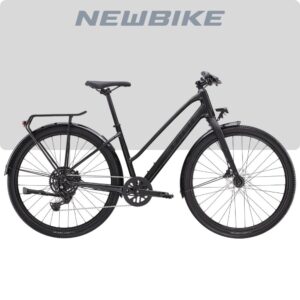Trek Dual Sport 2 Stagger
