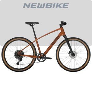 Trek Dual Sport 3