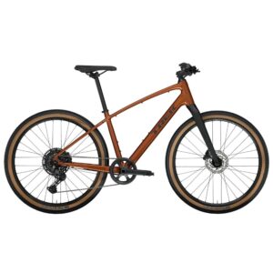 Trek Dual Sport 3