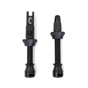 Tubeless Ventil Sæt 60mm
