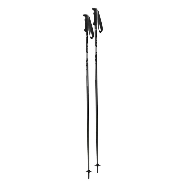 Fizan Light Pro Skistave