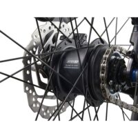 Close-up of a bicycle's rear wheel showing a disc brake rotor, black hub, spokes, and chain gear.