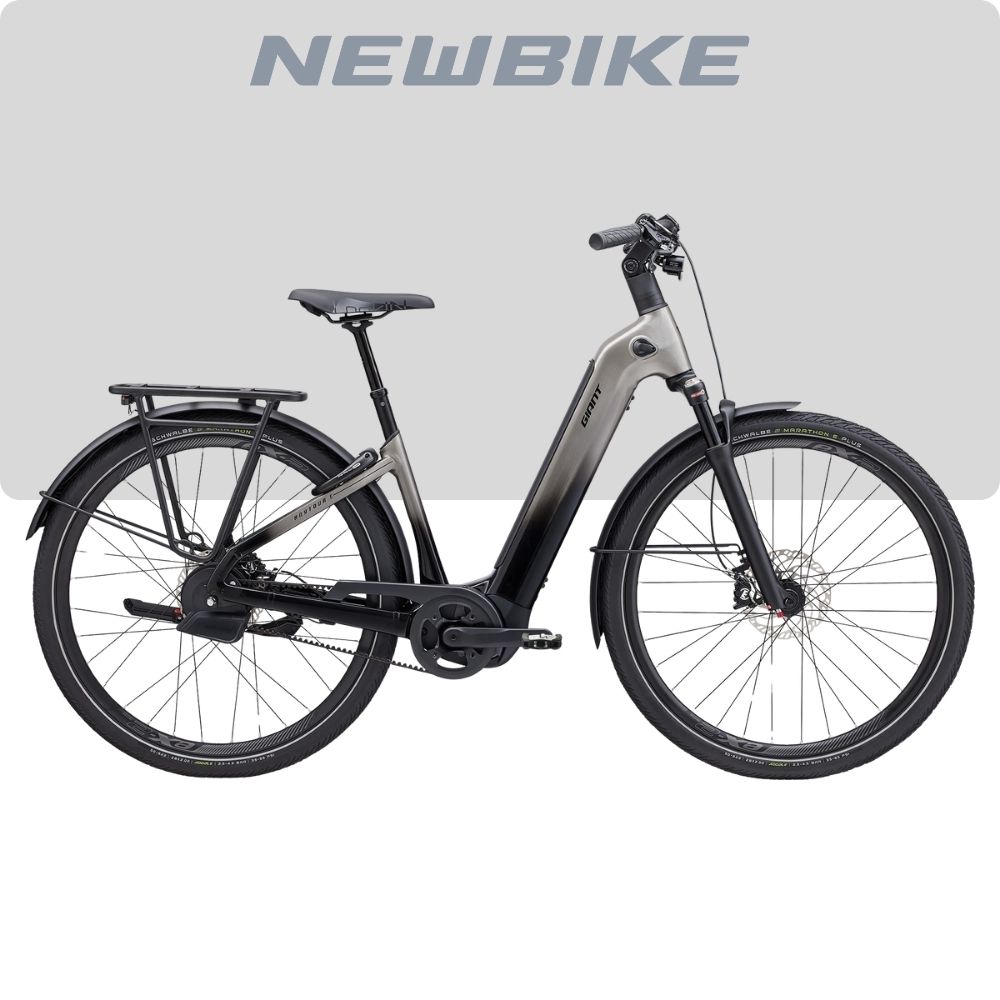 Newbike electric bike with a gray step-through frame, front suspension, rear rack, and large wheels.